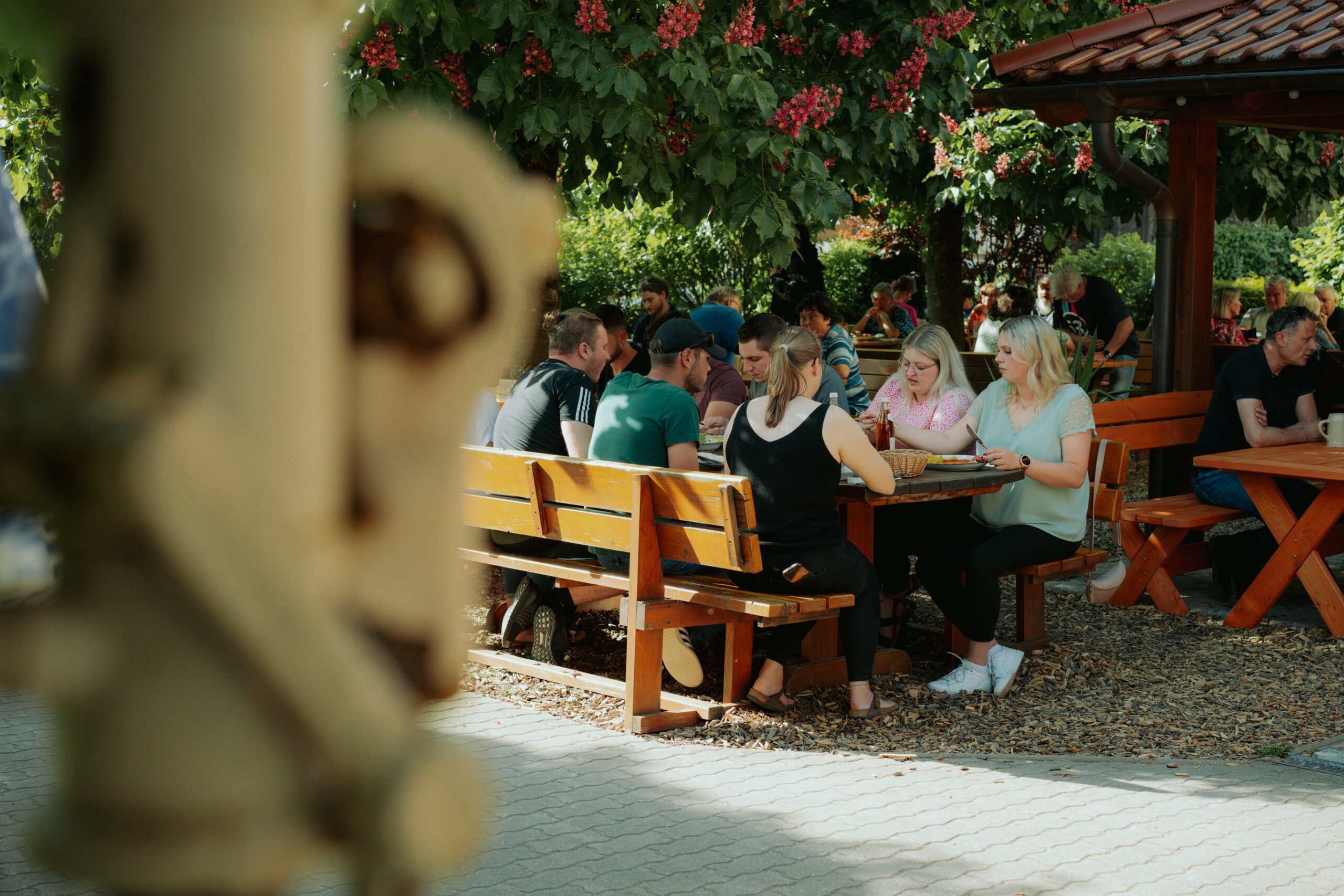Sonnenbräu Biergarten