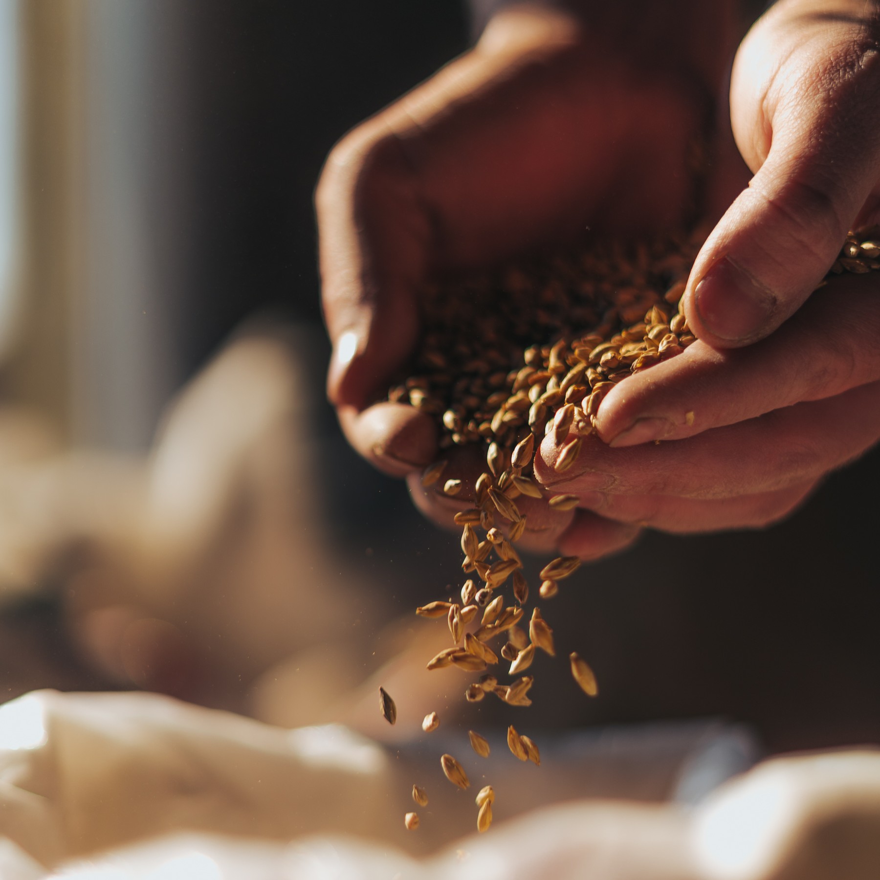 Sonnen-Bräu Sonnenmalz