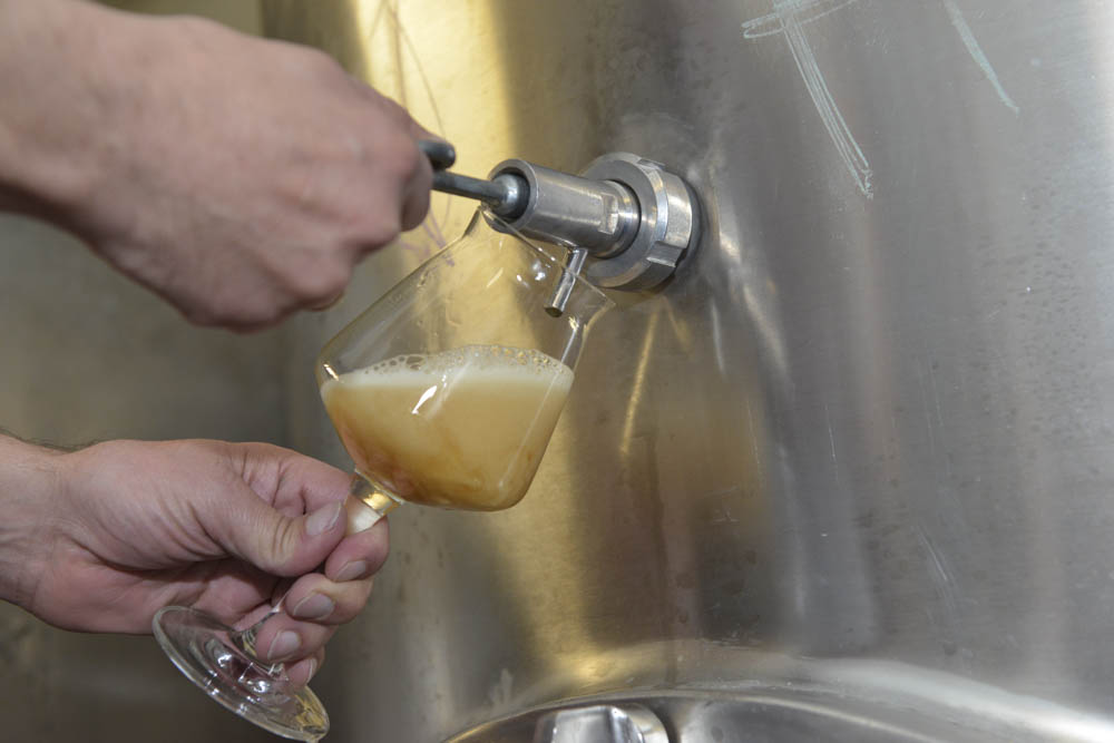 Exklusives Brauereierlebnis – Bild 3