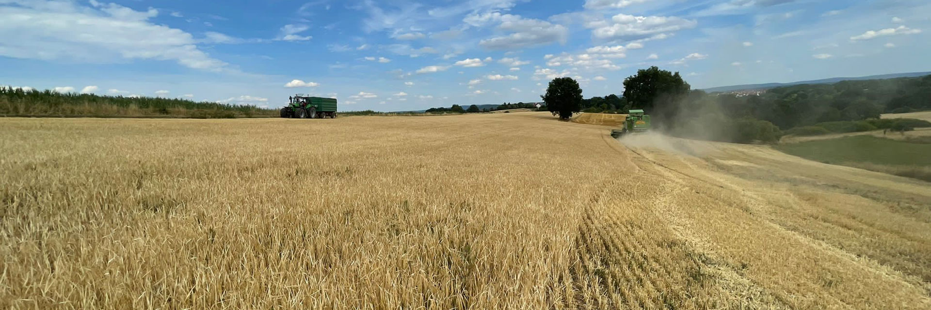 Sonnenbr&auml;u vom Halm zum Glas!